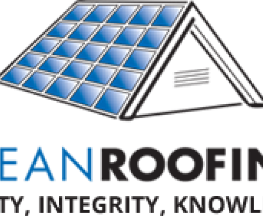 Clean%20Roofing%20PFP_0.png
